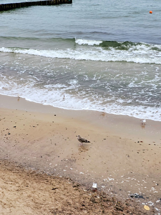 250805_185819