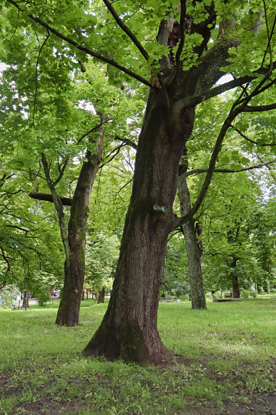 IM1796