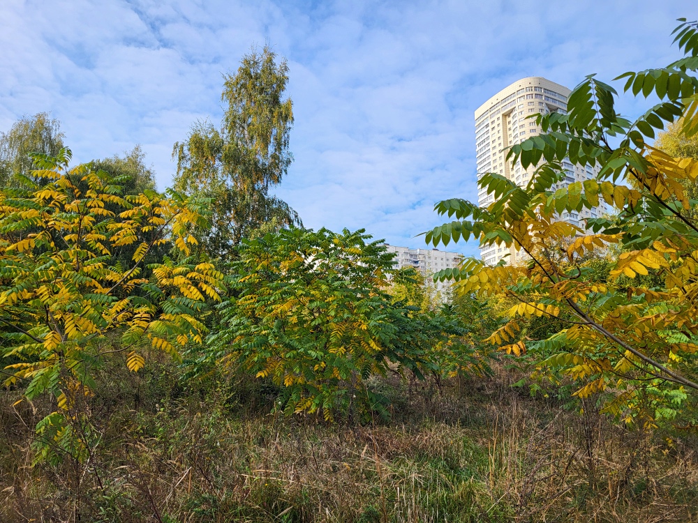 260927_155702w