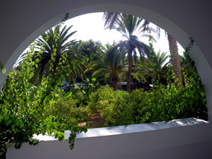 Вид с балкона. Парк отеля с пальмами