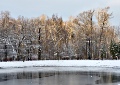 241125_103609