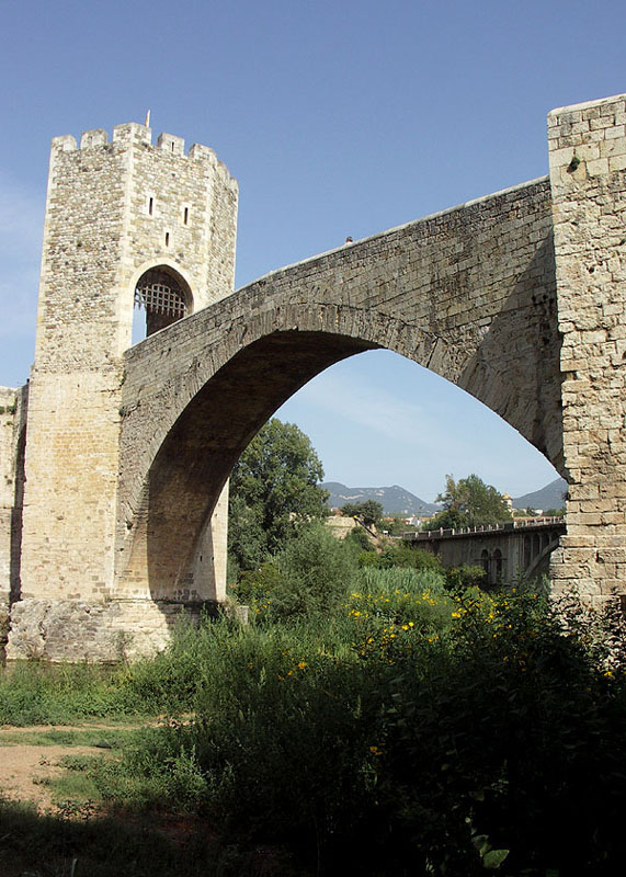 besalu41w