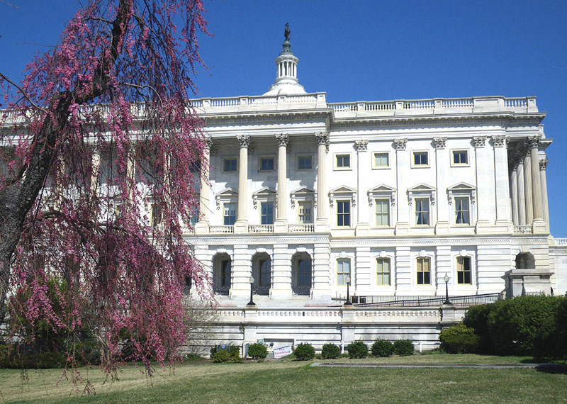 washington4033w