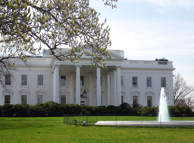 washington4198w