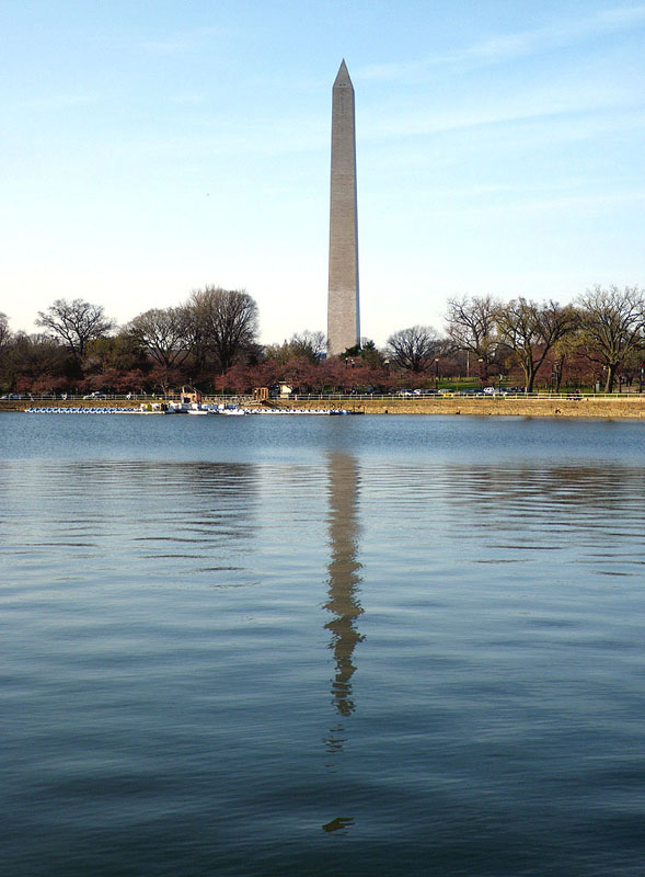 washington4238w