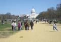 washington4126w