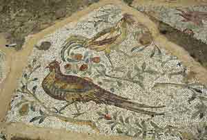 Карфаген. Мозаичный пол в доме римского аристократа